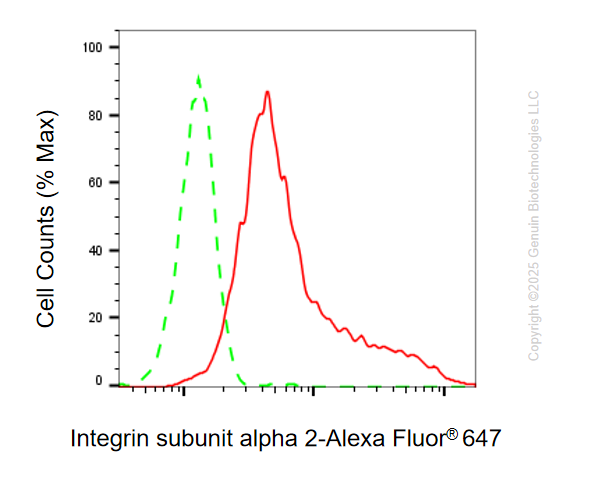 FC - KO Validated Anti-Integrin Subunit Alpha 2 Rabbit Monoclonal Antibody AGI2410
